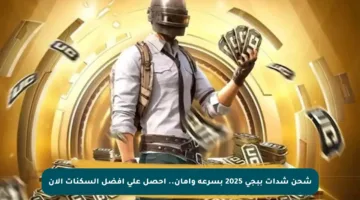 شحن شدات ببجي 2025 بسرعة وأمان.. احصل على أفضل السكنات الآن